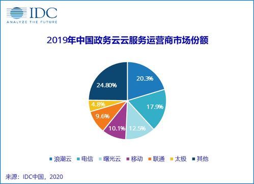 2019年中國(guó)政務(wù)云服務(wù)運(yùn)營(yíng)商市場(chǎng)份額報(bào)告發(fā)布與市場(chǎng)營(yíng)銷(xiāo)策劃服務(wù)分析